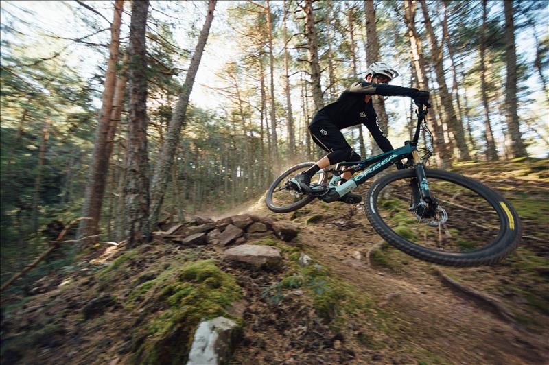 Caracteristicas de la Orbea Rise